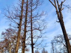 -杭州西湖柳莺里酒店·闻莺厅