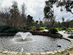 -斐兹洛伊花园