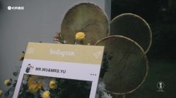 -花轿喜屋婚礼策划