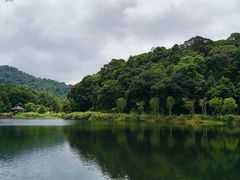 -海南热带雨林国家公园吊罗山景区