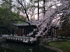 -莫愁湖公园