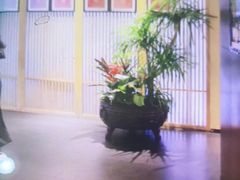 -悦融·京鲁菜·露台花园(安定门店)