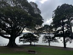 -麦考利夫人座椅