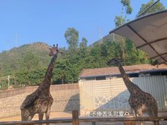 -泉州海丝野生动物世界