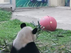 -西安秦岭野生动物园