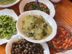 葱油蚕豆-小春农家乐