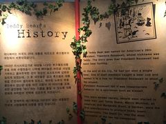 -济州岛泰迪熊博物馆