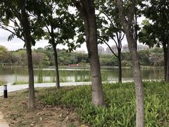 -东莞植物园