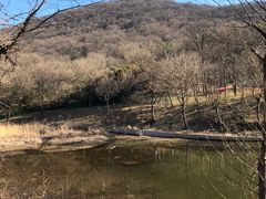 -南京老山国家森林公园