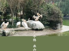 -成都动物园