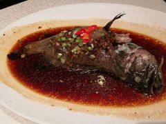-旺顺阁海鲜广场(亚运村店)