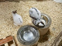 -zoonana室内动物园(东方福来德店)