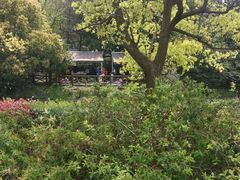 -上海滨江森林公园