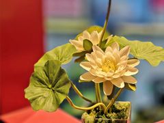 -肆月河豚·新淮扬菜·烤鸭(中关村店)