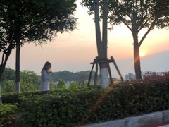 -铁山坪森林公园