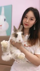-Moni星球萌宠·小马宝莉·灵蛇·高端高阶全萌宠互动体验俱乐部(红豆国际广场店)