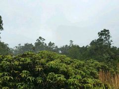 -夏威夷火山国家公园