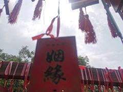-雪山彩虹谷景区