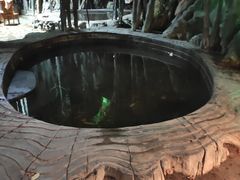 -龙达温泉生态城