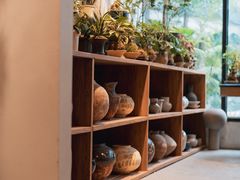 -自由生长植物工作室(深港花卉中心店)