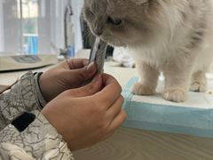 -美美宠物诊疗中心·异宠·骨科(滨江东信分院)