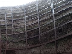 -中国西峡恐龙遗迹园