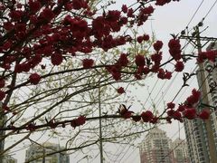 -赵汝飞练字硬笔书法(博泰国际校区)