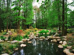 -上海共青森林公园