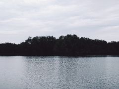 景点-大湾区中央湿地公园