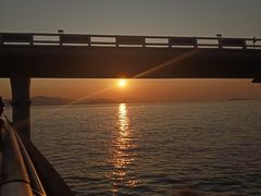 -演武大桥观景平台