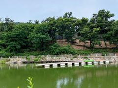 -金石滩蓝莓谷庄园