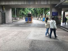 -西南政法大学(沙坪坝校区)