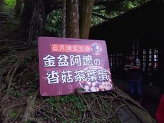 -日月潭