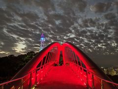 -金鸡山公园