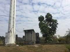 -中国移动南方基地