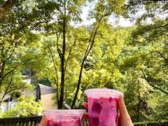 -巴倒烫陆派重庆火锅(南山店)