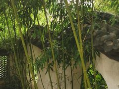 -老张烤羊(王哥庄店)