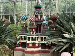 -南宫五洲植物乐园