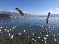 -丽江泸沽湖景区