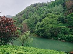 -桃花岭景区