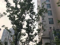 -沪小胖小龙虾(淮海中路旗舰店)
