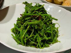 油鸡枞拌辣木苗-马旺子酒楼