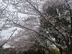 -范蠡湖公园