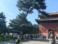 -普陀宗乘之庙(小布达拉宫)
