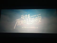 -纵横国际影城杜比全景声巨幕(天安云谷店)