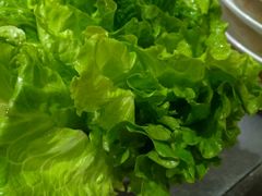 -丰乐斑鱼庄(建业·壹号城邦店)