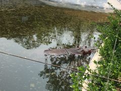 -济南野生动物世界