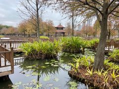 -五缘湾湿地公园