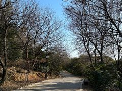 -宝岩生态观光园