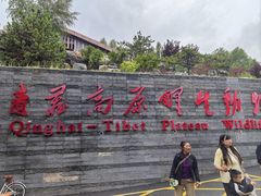 -青藏高原野生动物园